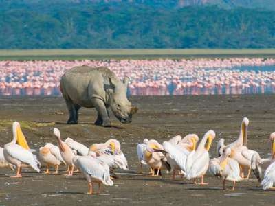 Lake Nakuru