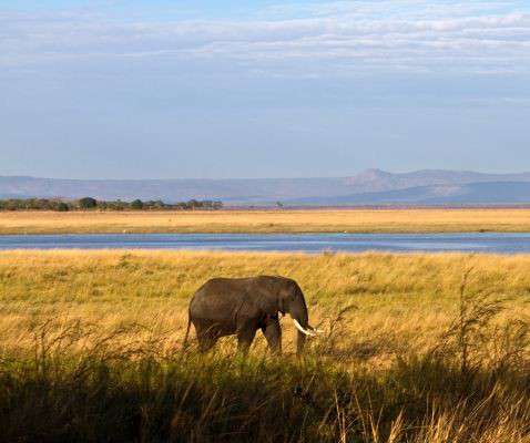 Katavi Nationalpark in Tansania