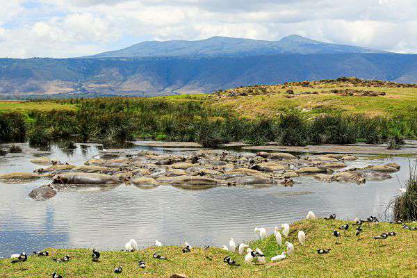 Lake Manyara Nationalpark in Tansania