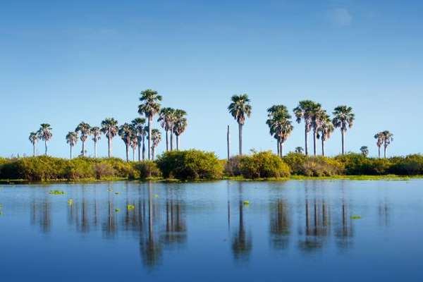 Nyerere Nationalpark in Tansania