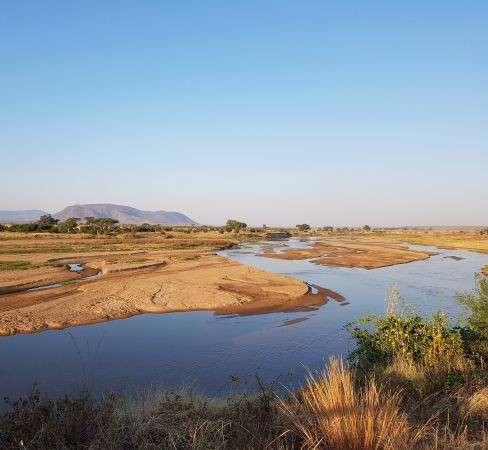 Ruaha Nationalpark in Tansania