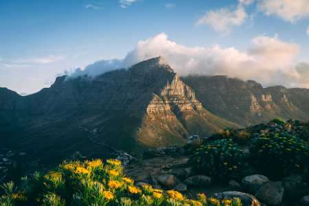 Tafelberg auf der Kap-Halbinsel