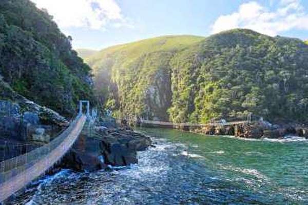 Hängebrücke im Tsitsikamma Park