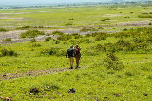 Walking Safari im Amboseli Nationalpark