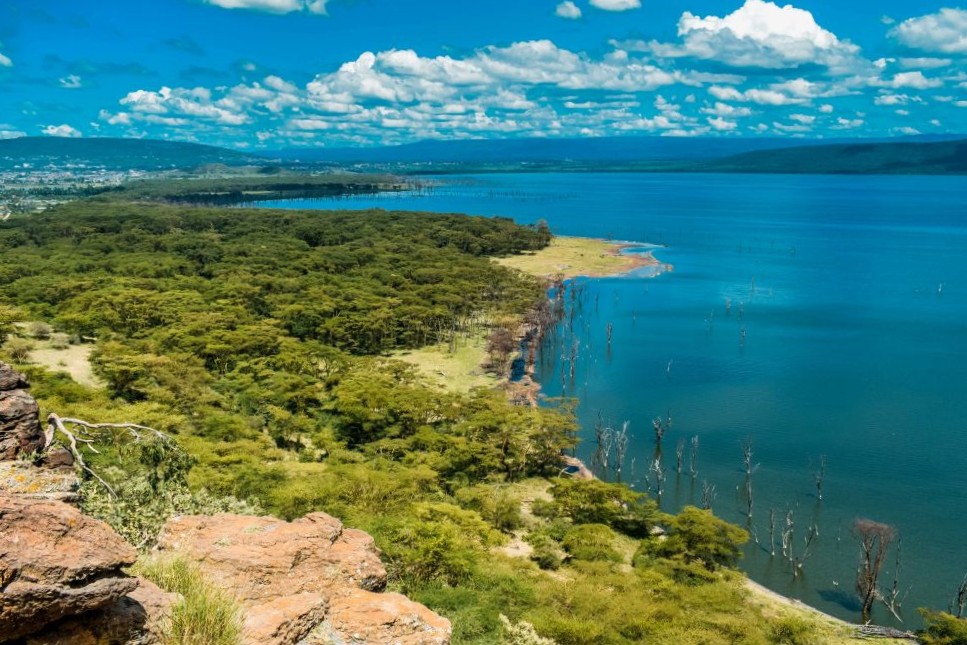 Aussicht über den Lake Nakuru