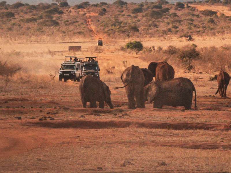 Pirschfahrt im Tsavo East Nationalpark