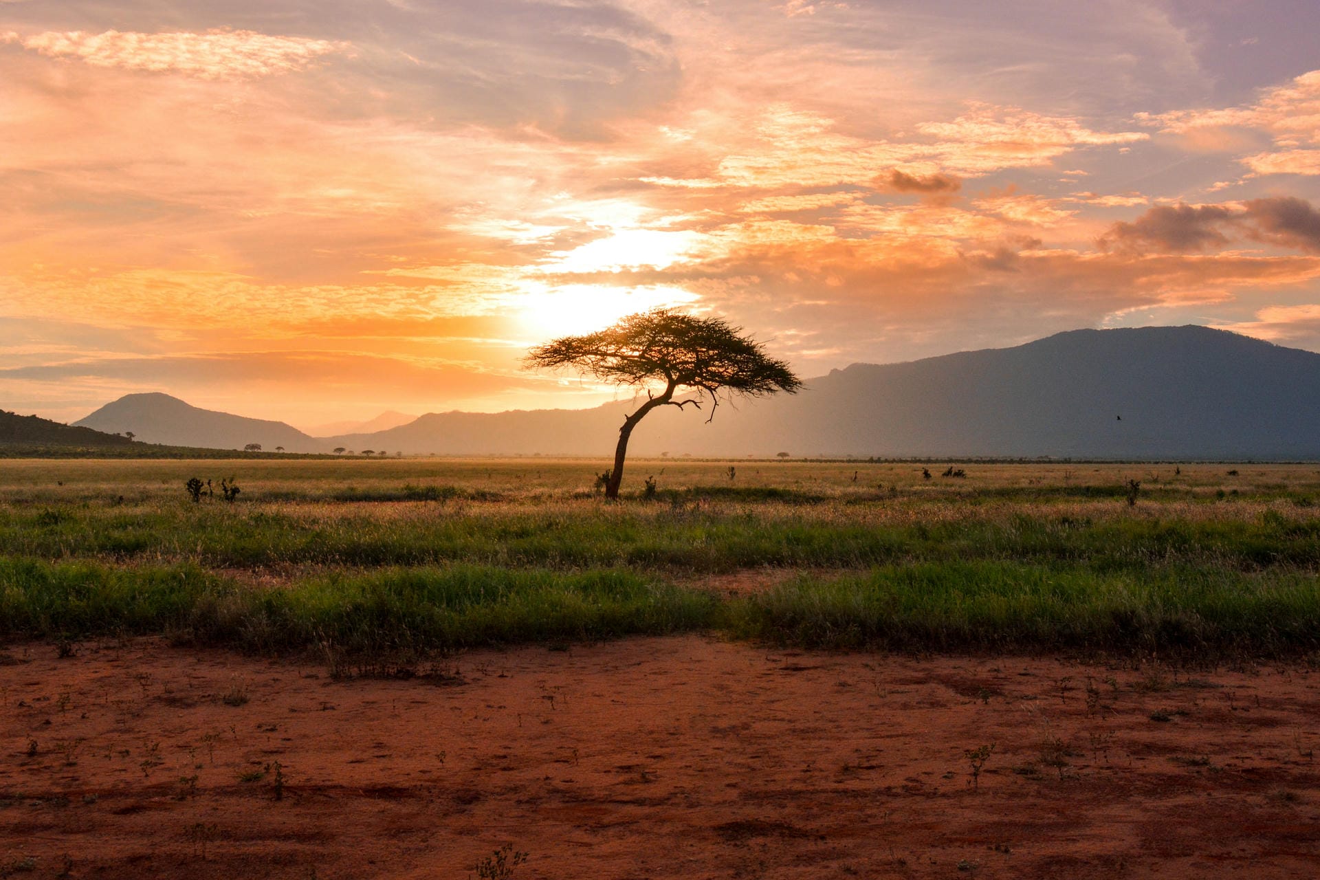 Tsavo Nationalpark