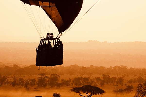 Ballon Safari