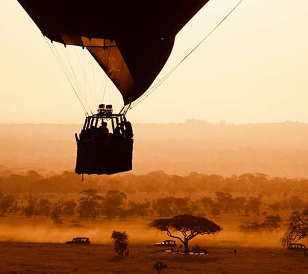 Ballon Safari